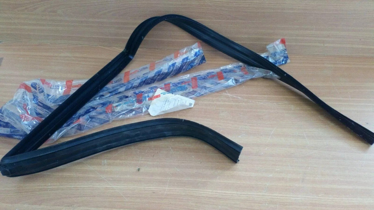 Window Weather Strip Seal Rear Right fits Lancia Dedra Delta 82430237 Genuine View Front