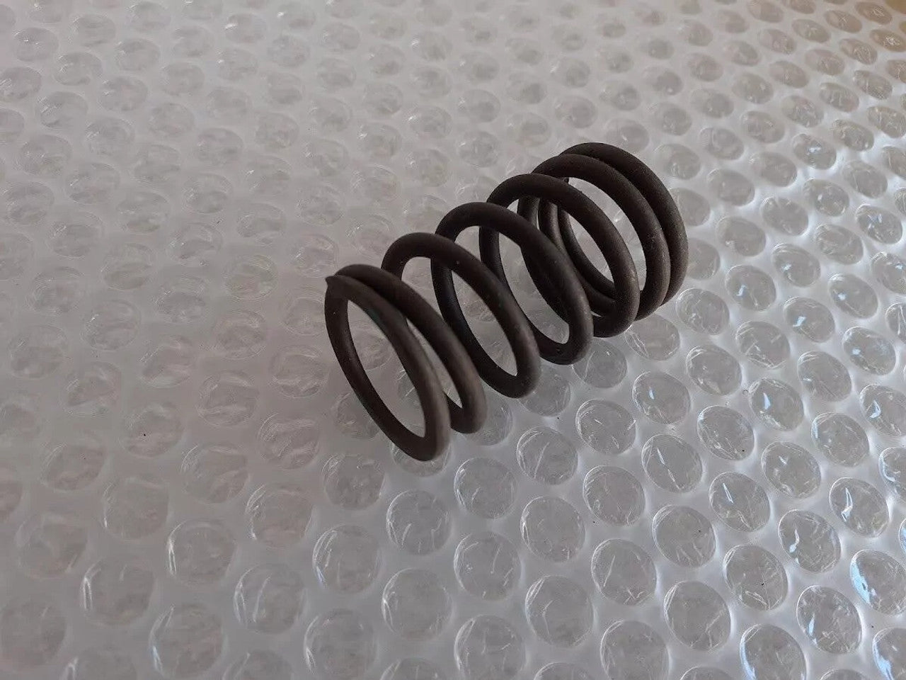 4x Valve Spring fits Alfa Romeo Alfetta Giulietta 117010330300 Genuine View Front