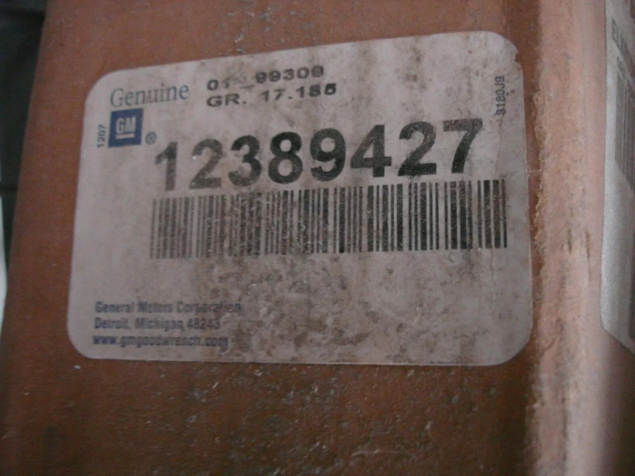 Tailgate Back Door fits Chevrolet Blazer GMC Jimmy 12389427 Genuine View Right