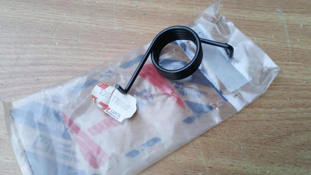 Brake Pedal Spring fits Fiat Ducato 1307110080 Genuine View Front