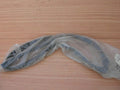 Window Seal Rear Right fits Opel Vauxhall Zafira B 13132030 Genuine View Front
