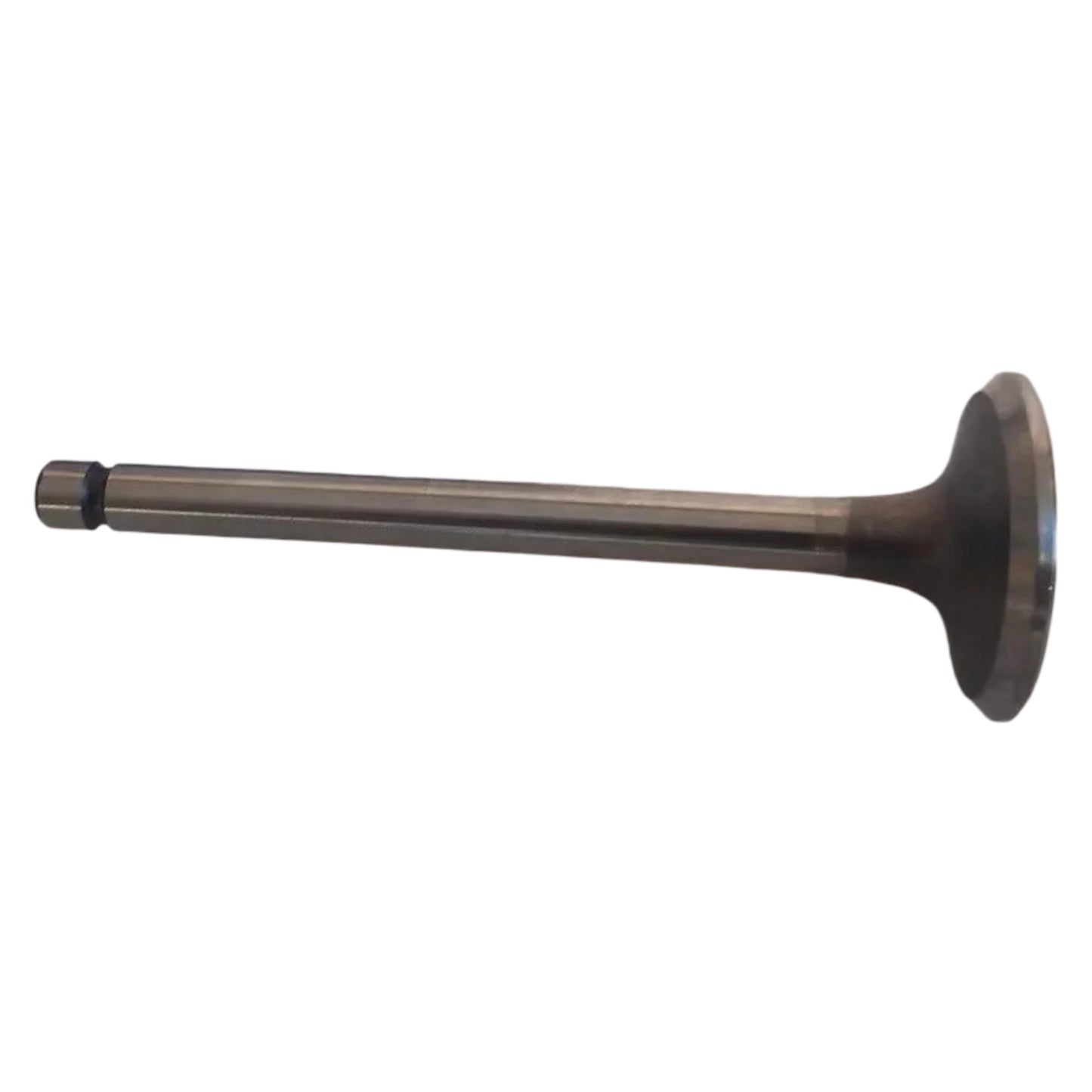 4x Exhaust Valves fits Nissan Datsun Pickup 720 Atlas Condor F22 Homy SD23 SD25 13202-L2000