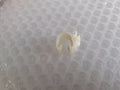 Door Interior Clip fits Fiat Lancia Alfa Romeo 14570480 Genuine View Front