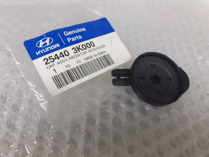 254403K000 View Right