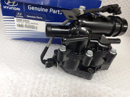 2560003HC5 View Rear