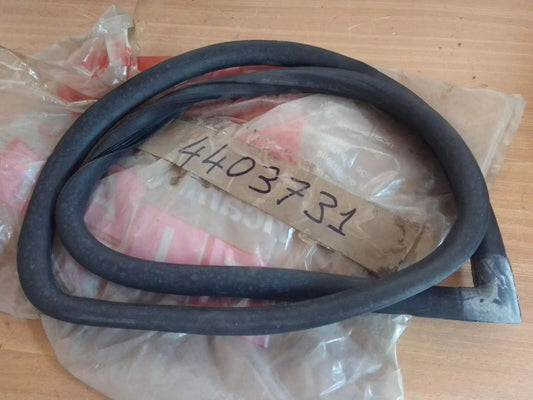 Window Seal Rear Left Side fits Fiat Panda 4403731 Genuine View Front