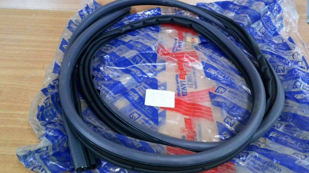 Door Seal Rear Left fits Fiat Brava 46437862 Genuine View Front