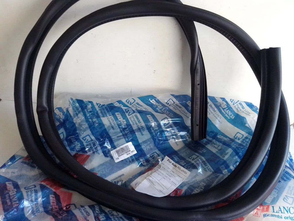 Door Seal Rear Left fits Fiat Punto 46479338 Genuine View Front