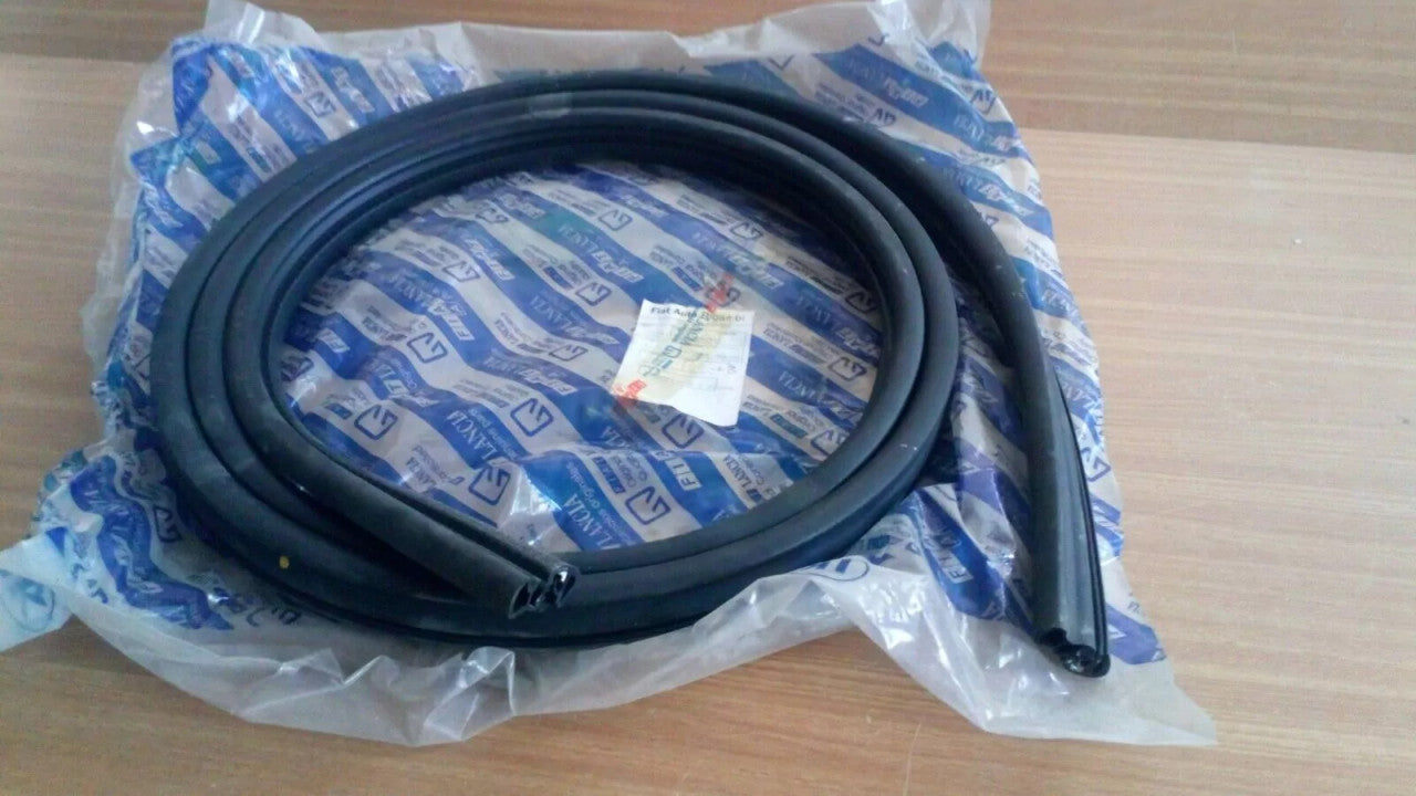 Front Door Seal Weatherstrip fits Fiat Seicento 46512323 Genuine View Left