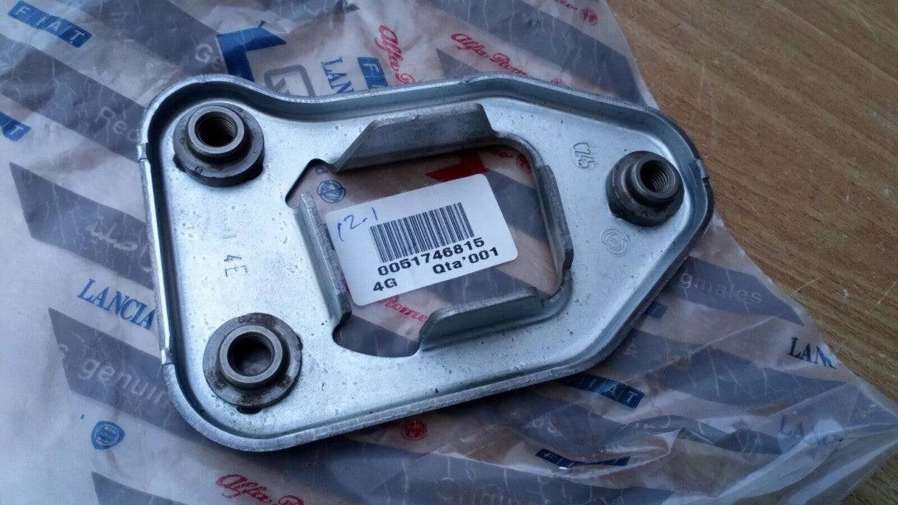 Frame Plate Left fits Fiat Panda 51746815 Genuine View Front