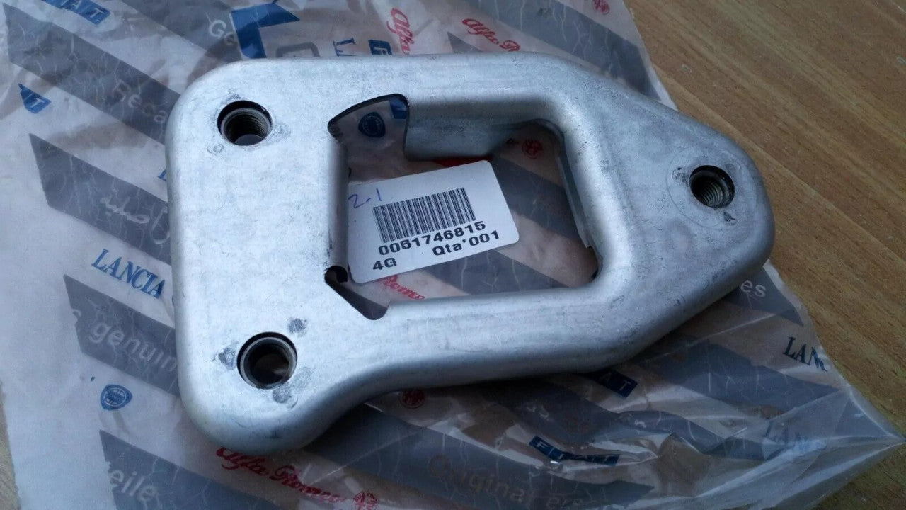 Frame Plate Left fits Fiat Panda 51746815 Genuine View Rear
