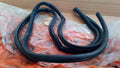 Door Seal Rear Left fits Alfa Romeo Alfasud 531143 Genuine View Front