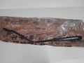 Wiper Arm fits Alfa Romeo 538792 Genuine View Front