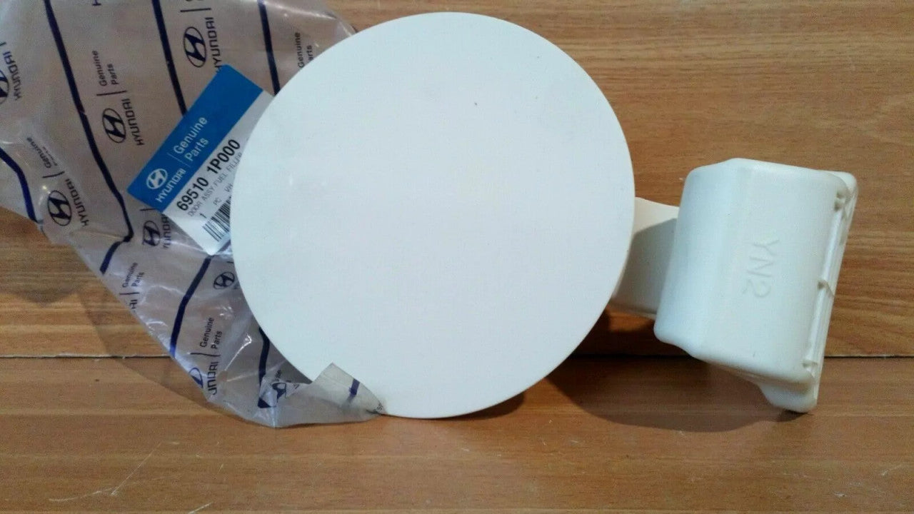 Fuel Door fits Hyundai ix20 Kia Venga 695101P000 Genuine View Front