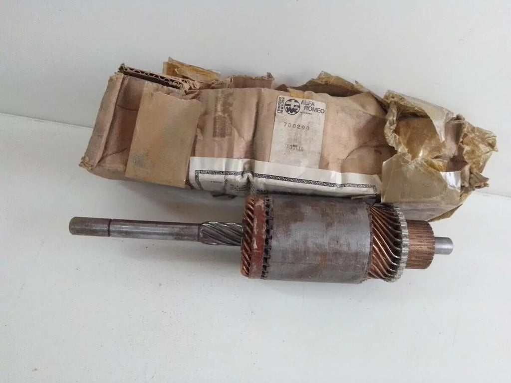 Starter Motor Armature fits Alfa Romeo Alfasud 700290 Genuine View Front
