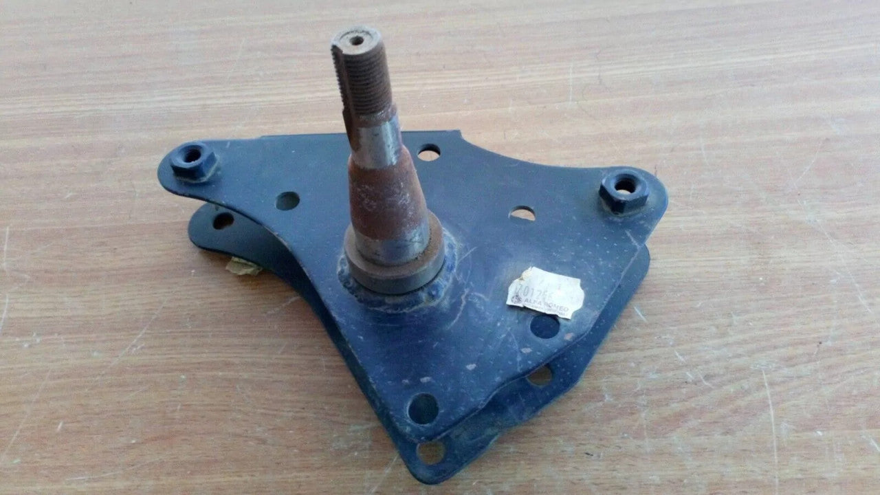 Steering Knuckle Rear Right fits Alfa Romeo Alfasud 701256 60749054 View Front