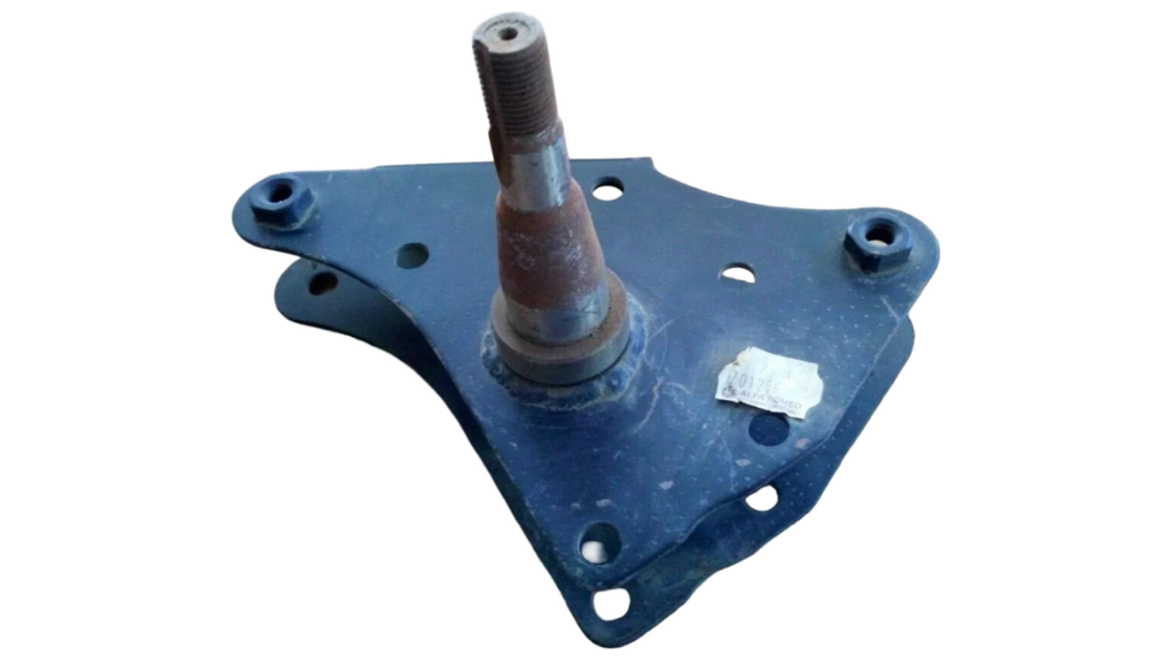Steering Knuckle Rear Right fits Alfa Romeo Alfasud 701256 60749054