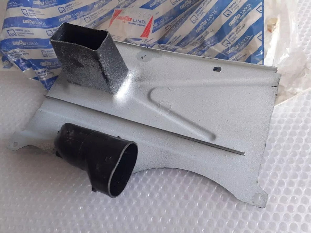 Radiator Protection fits Fiat Regata 7569369 Genuine View Rear