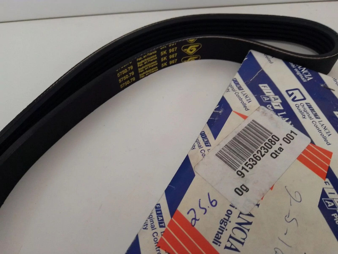 V-Ribbed Belt 5PK967 575079 9153623080 View Front