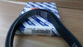 6PK1660 Belt fits Fiat Ulysse Lancia Z 9615207880 71739921 Genuine View Front
