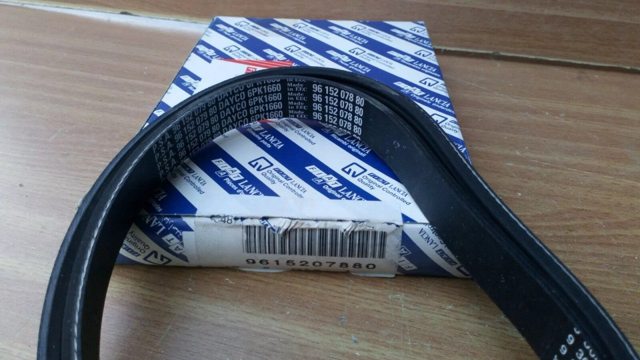 6PK1660 Belt fits Fiat Ulysse Lancia Z 9615207880 71739921 Genuine View Front