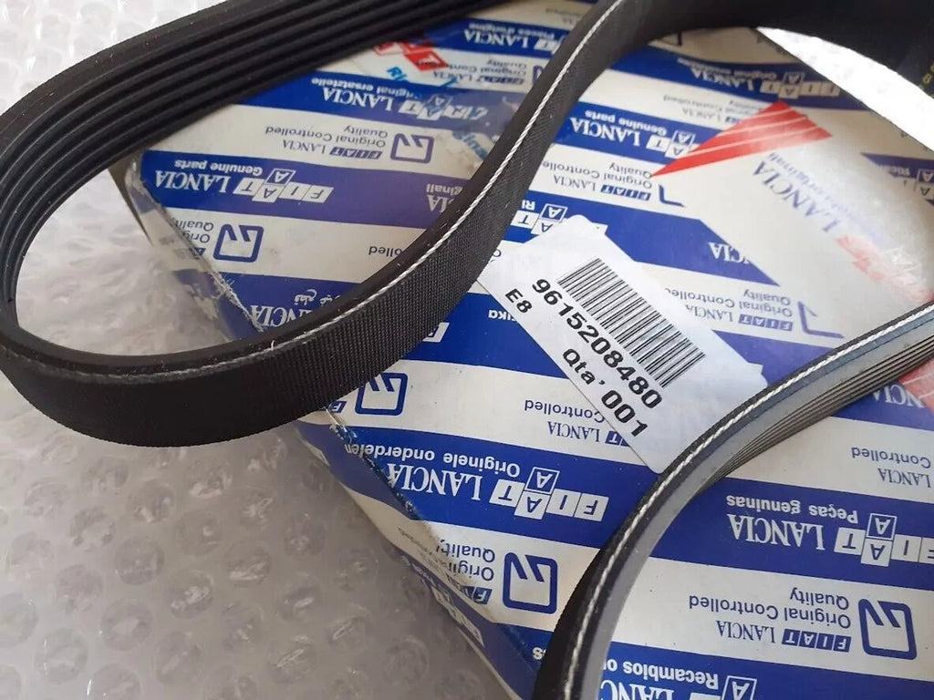 Belt 6PK1076 5750A2 9615208480 View Rear