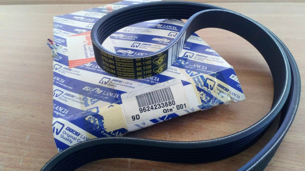 Belt 6PK1102 9624233880 View Front