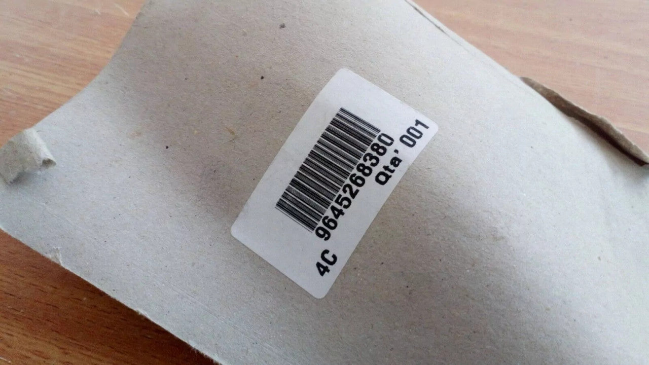 License Plate Light Rear fits Fiat Scudo Peugeot Expert 9645268380 Genuine View Right