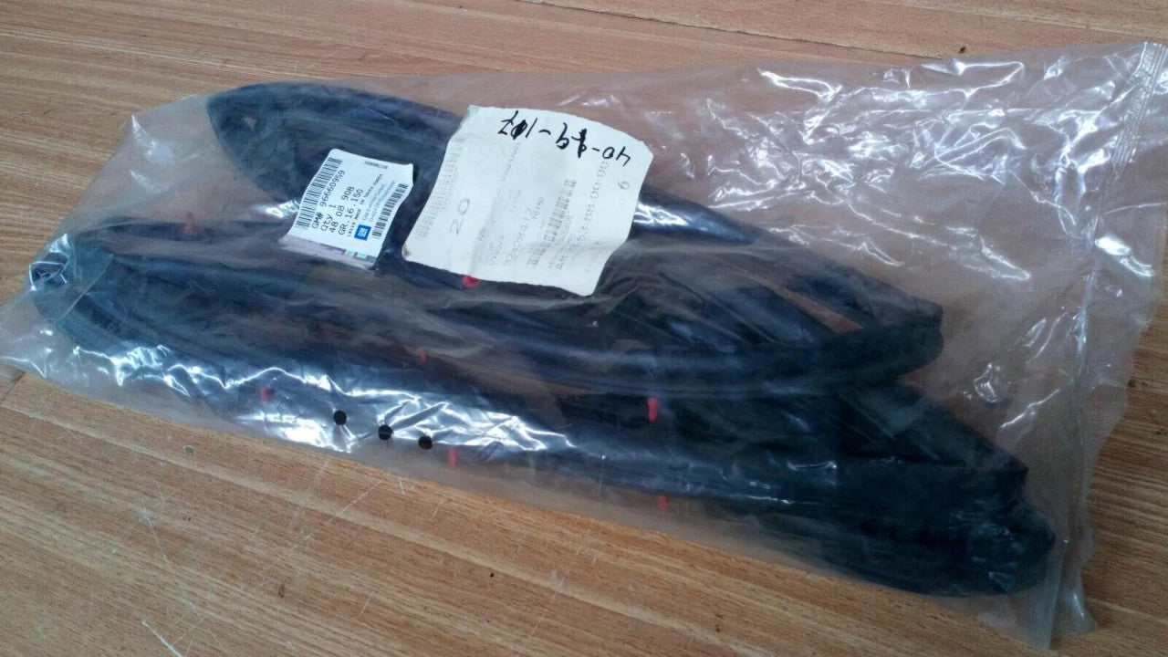 Door Weatherstrip Rear Left fits Opel Vauxhall Antara 96660959 Genuine View Front